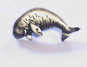 Dungog Pewter Brooch Antique silver : Peek- a- Boo