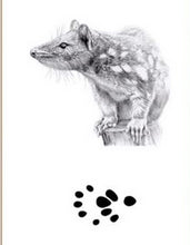 Load image into Gallery viewer, Spotted Tail Quoll  Silver Footprint  Bushprints Necklace